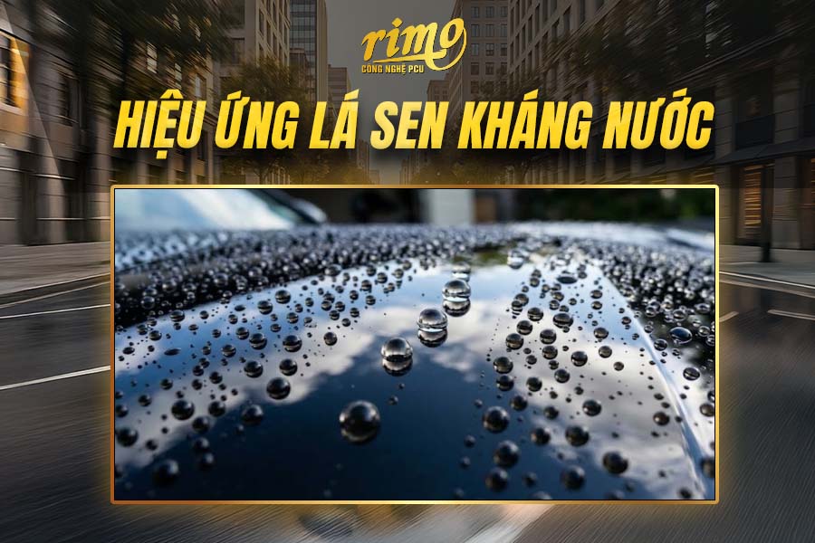 Hiệu ứng lá sen, kháng nước Hiệu ứng lá sen, kháng nước