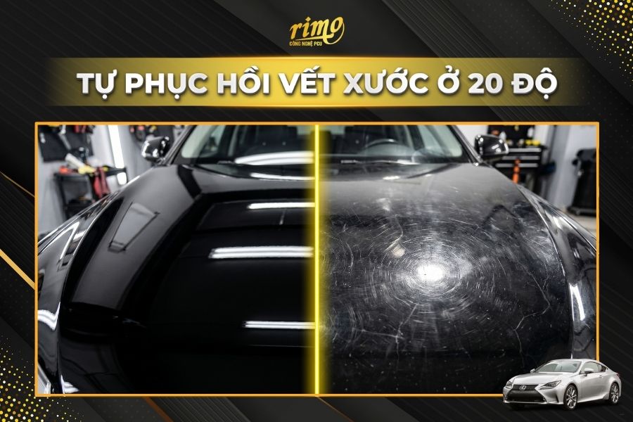 D&aacute;n PPF Rimo cho xe Lexus IS gi&uacute;p bảo vệ sơn xe khỏi c&aacute;c vết xước