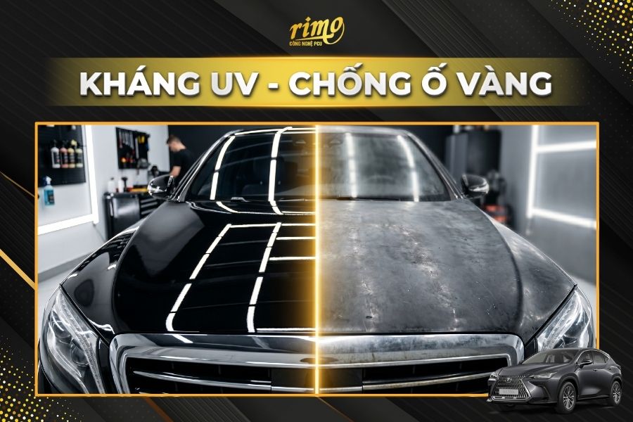 D&aacute;n PPF Rimo cho xe Lexus NX ngăn sơn xe oxy h&oacute;a