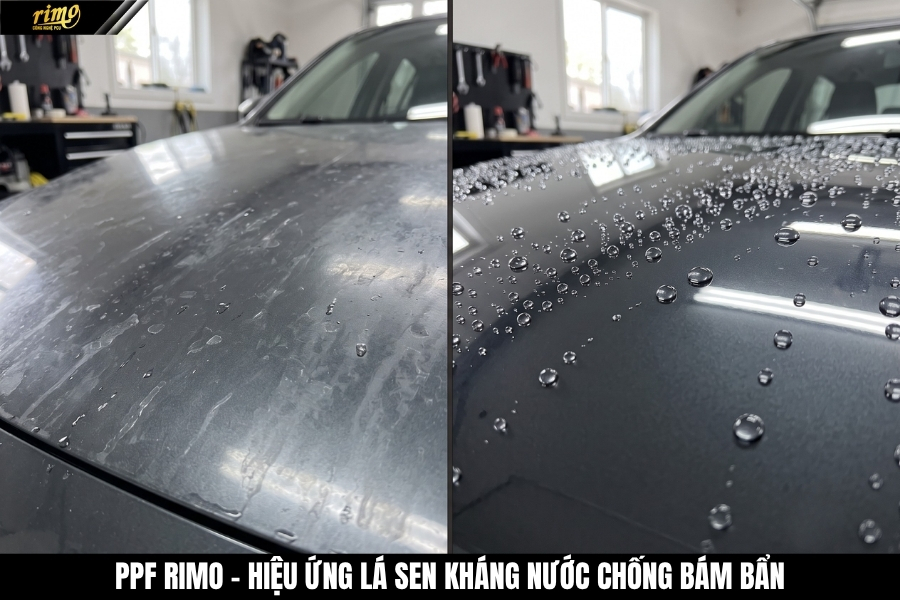 Rimo PPF ra mắt c&ocirc;ng nghệ mới PCU c&oacute; hiệu ứng l&aacute; sen