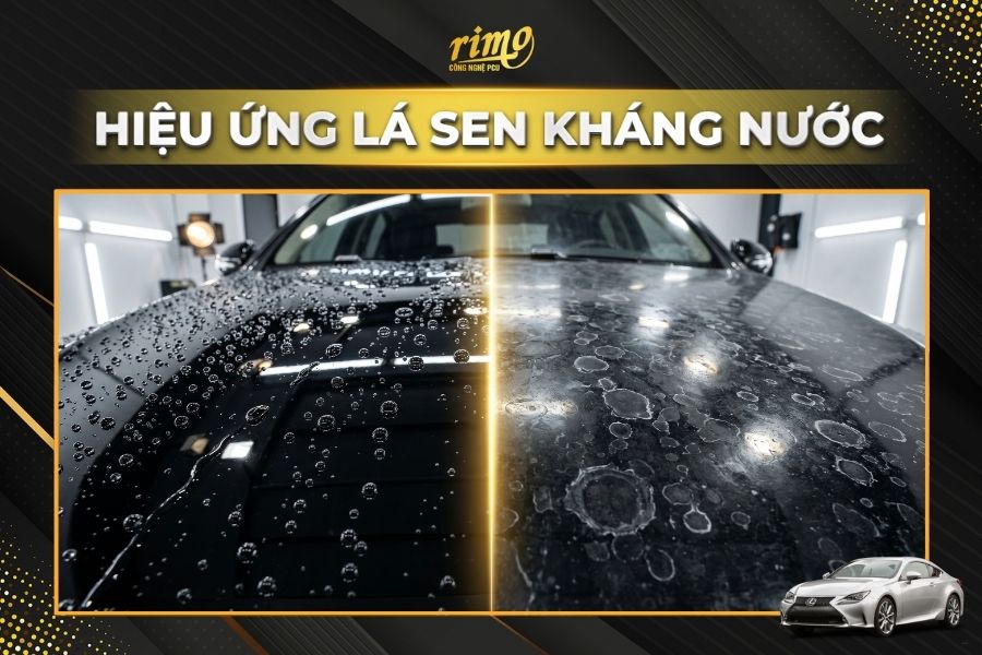 D&aacute;n PPF Rimo cho xe Lexus IS gi&uacute;p kh&aacute;ng nước, chống b&aacute;m bẩn