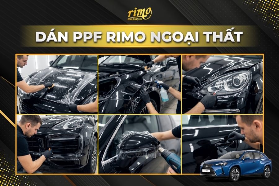 D&aacute;n PPF Rimo cho xe Lexus UX khu vực ngoại thất