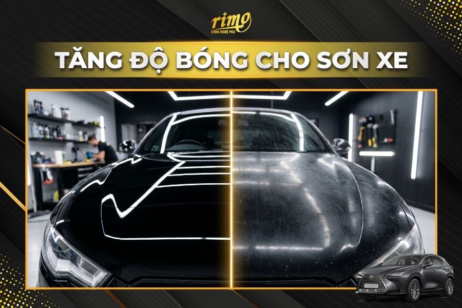 D&aacute;n PPF Rimo cho xe Lexus NX tăng độ b&oacute;ng cho lớp sơn xe