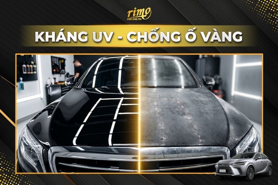 D&aacute;n PPF Rimo cho xe Lexus RX chống ố m&agrave;u sơn