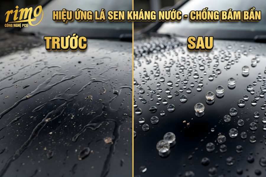 PPF Rimo c&oacute; hiệu ứng l&aacute; sen kh&aacute;ng nước - chống b&aacute;m bẩn