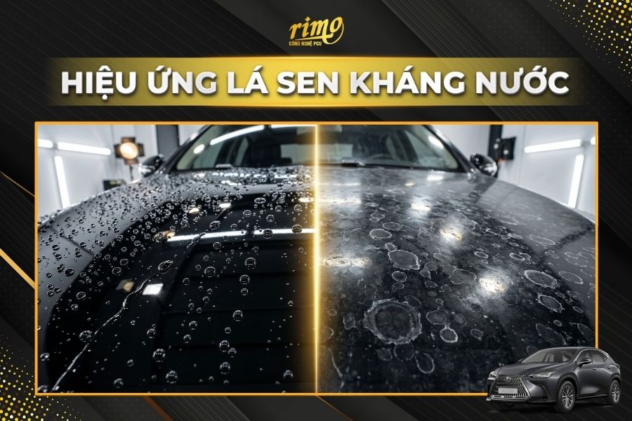 D&aacute;n PPF Rimo cho xe Lexus NX cho hiệu ứng l&aacute; sen