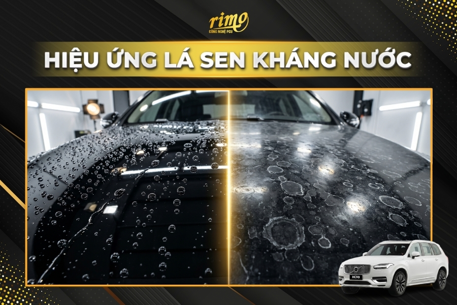 D&aacute;n PPF Rimo cho xe Volvo XC90 với hiệu ứng l&aacute; sen kh&aacute;ng nước