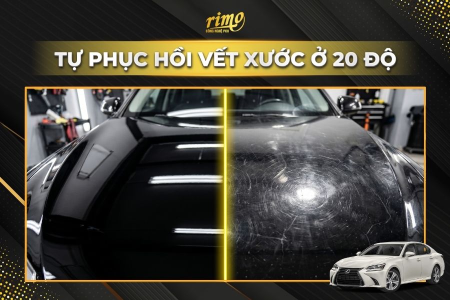 D&aacute;n PPF Rimo cho xe Lexus GS chống xước sơn