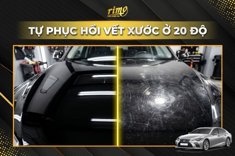 D&aacute;n PPF Rimo cho xe Lexus LS chống xước sơn xe