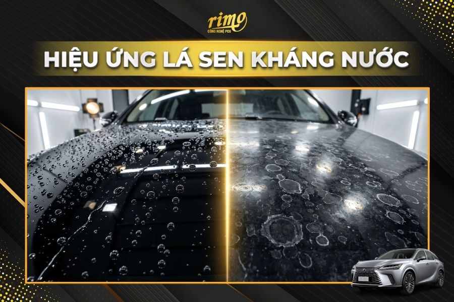 D&aacute;n PPF Rimo cho xe Lexus RX kh&aacute;ng nước - chống b&aacute;m bẩn