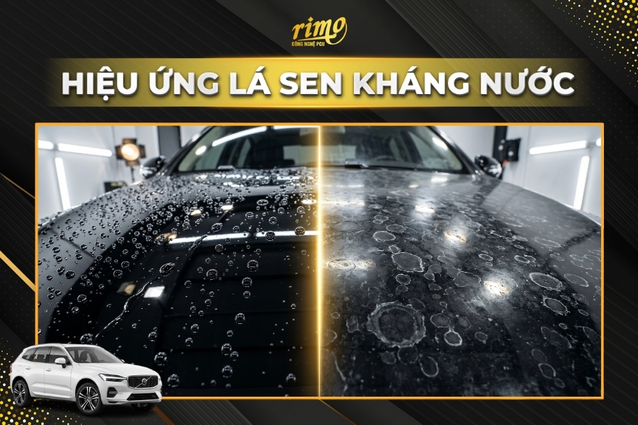 D&aacute;n PPF Rimo cho xe Volvo XC60 với hiệu ứng l&aacute; sen kh&aacute;ng nước