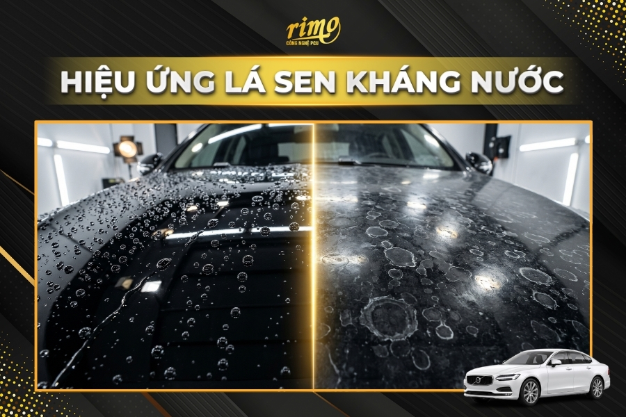 Tạo hiệu ứng l&aacute; sen kh&aacute;ng nước, chống b&aacute;m bẩn