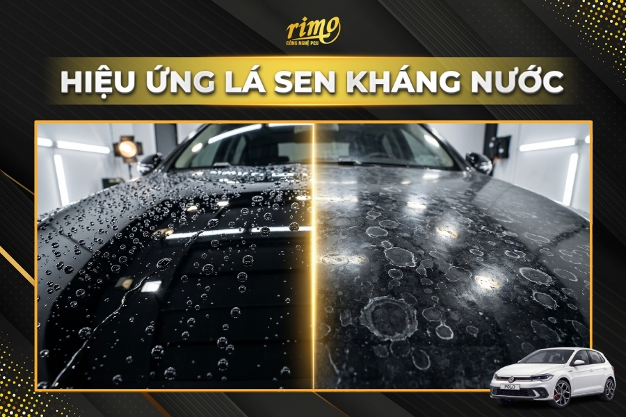 D&aacute;n PPF cho xe Volkswagen Polo tăng độ b&oacute;ng cho hiệu ứng l&aacute; sen kh&aacute;ng nước