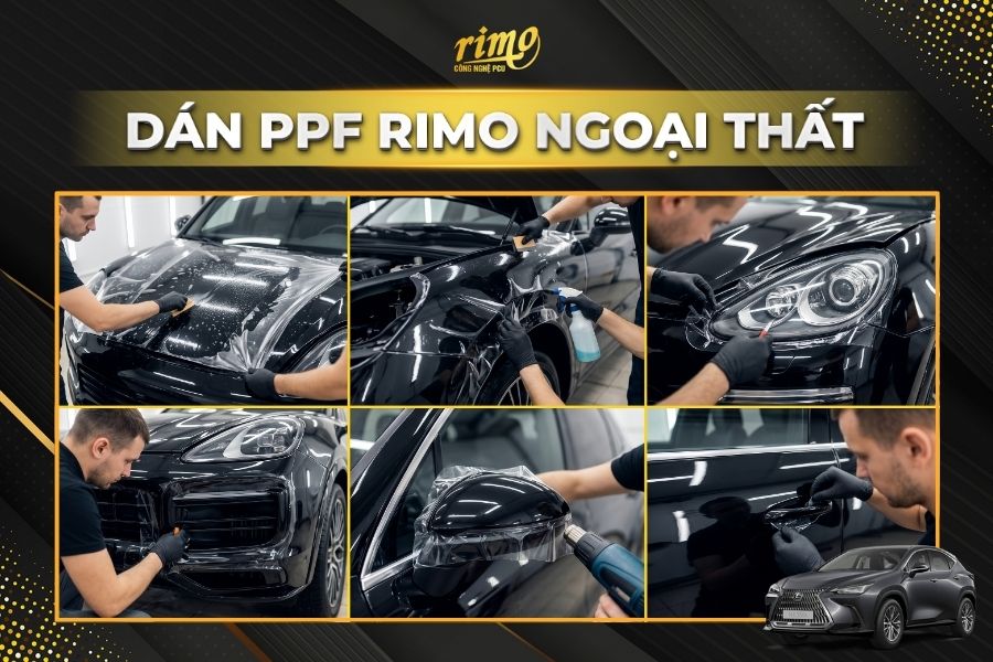 D&aacute;n PPF Rimo cho xe Lexus NX khu vực ngoại thất