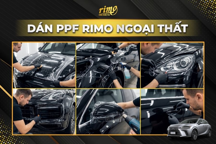 D&aacute;n PPF Rimo cho xe Lexus RX khu vực ngoại thất
