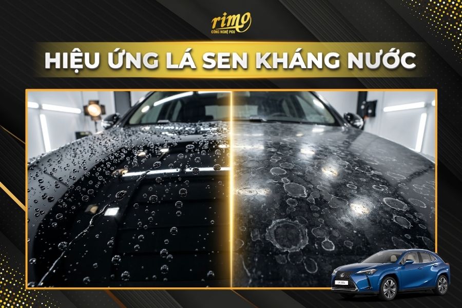 D&aacute;n PPF Rimo cho xe Lexus UX chống b&aacute;m bẩn ho&agrave;n hảo