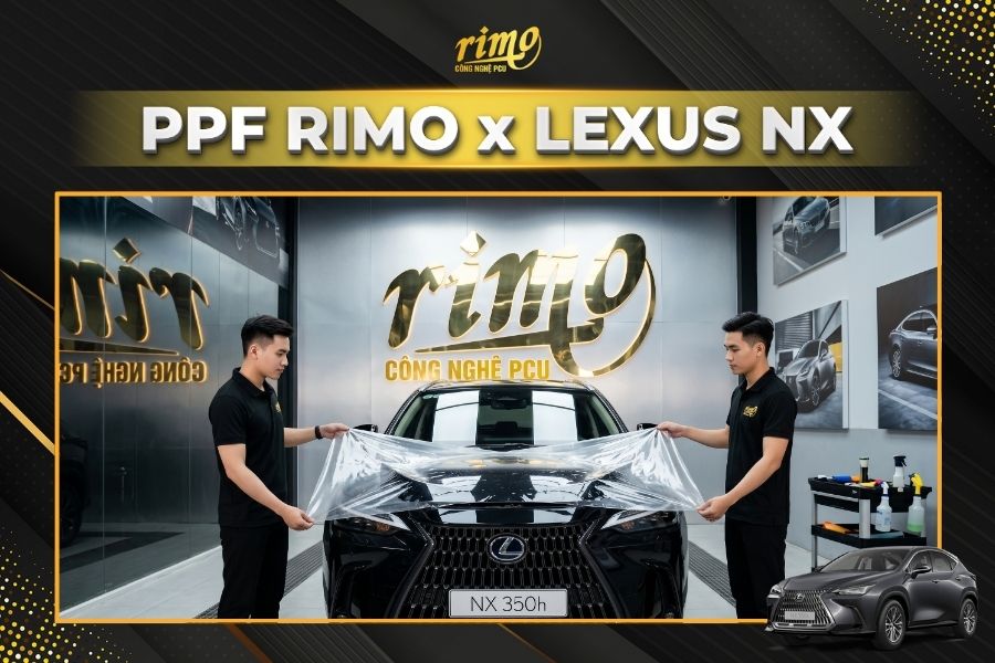 Lợi thế khi chọn Rimo - Đơn vị d&aacute;n PPF cho xe Lexus NX uy t&iacute;n