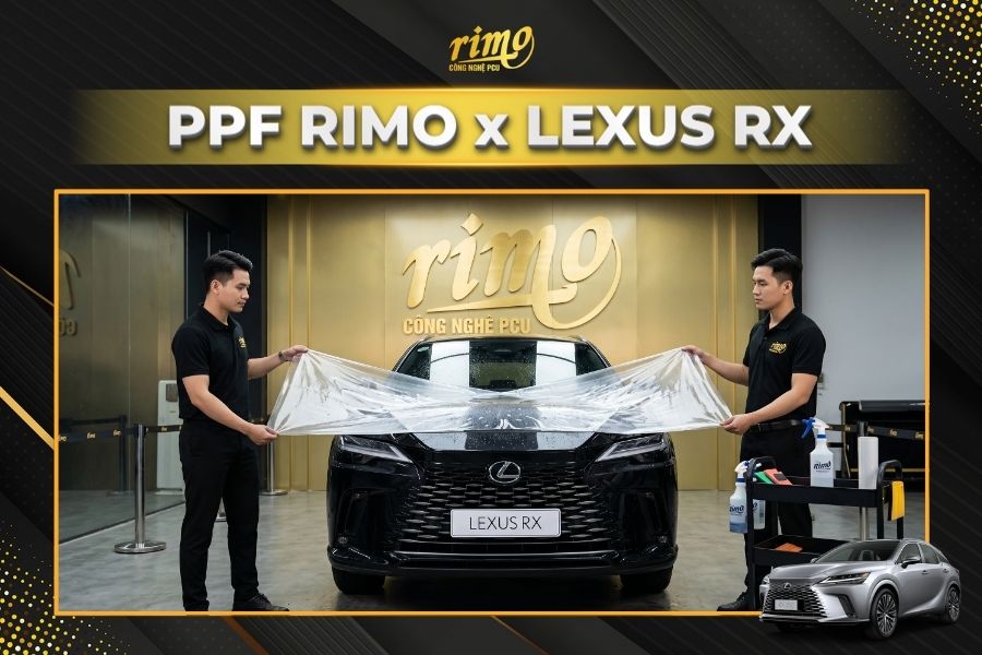 D&aacute;n PPF Rimo cho xe Lexus RX tại Đại l&yacute; ch&iacute;nh h&atilde;ng